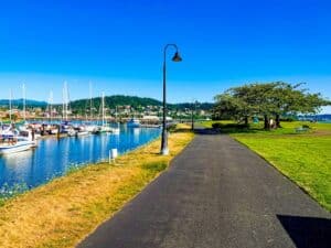 white boats on water near green grass field during daytime