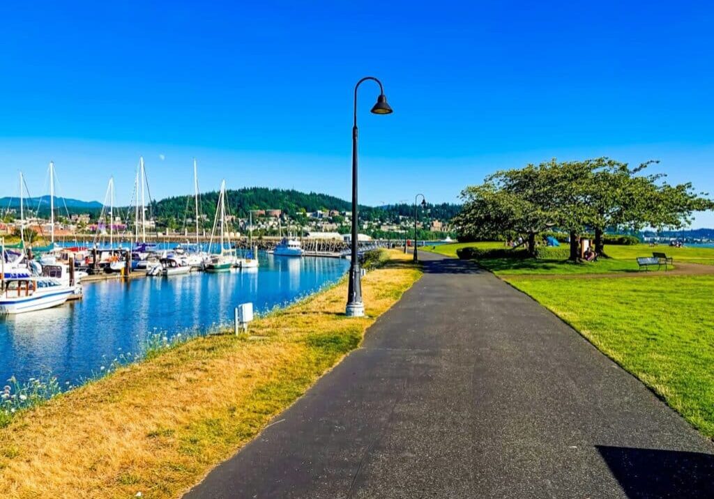 white boats on water near green grass field during daytime