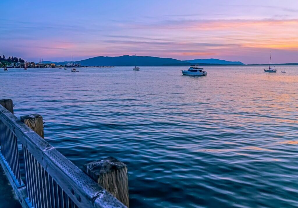 white and blue boat on sea during daytime