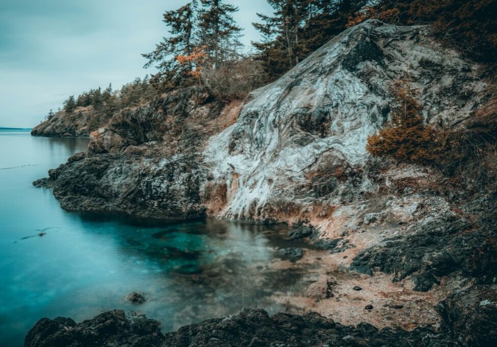 green pine trees beside body of water during daytime